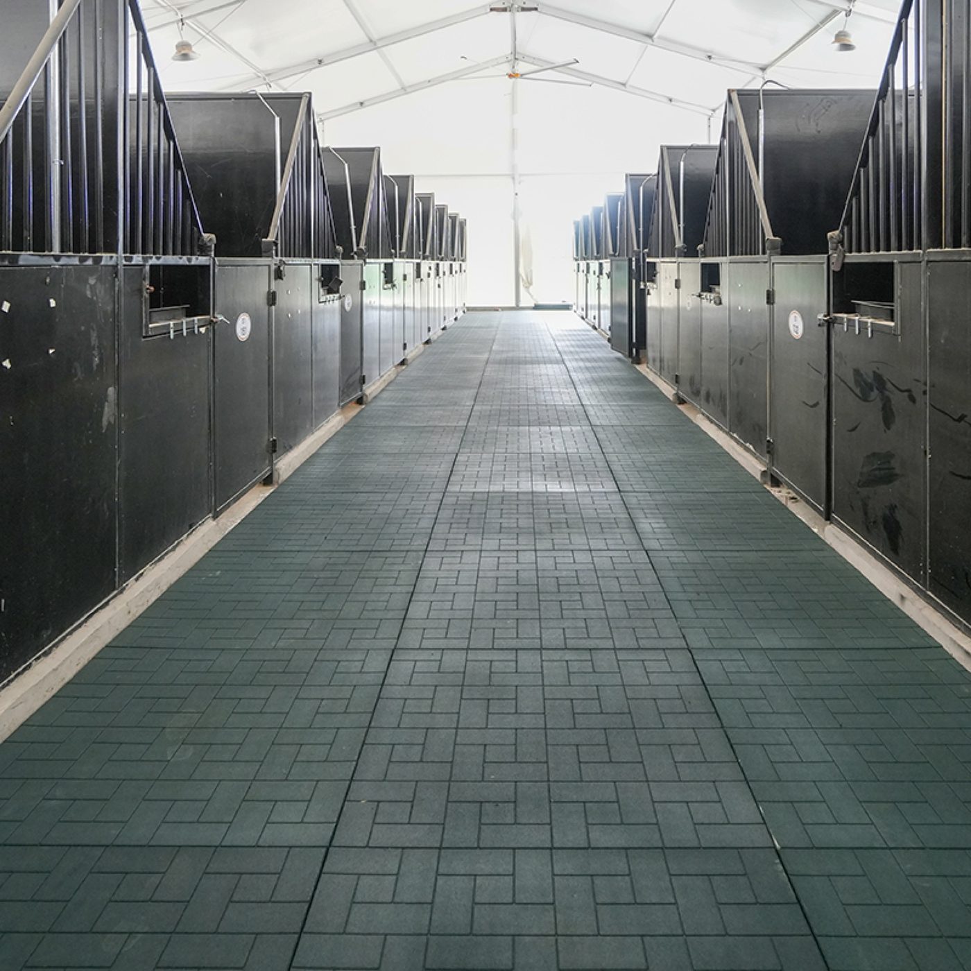 Changzhou Equestrian Centre-Rubber Roll & Horse Stable Rubber Mat